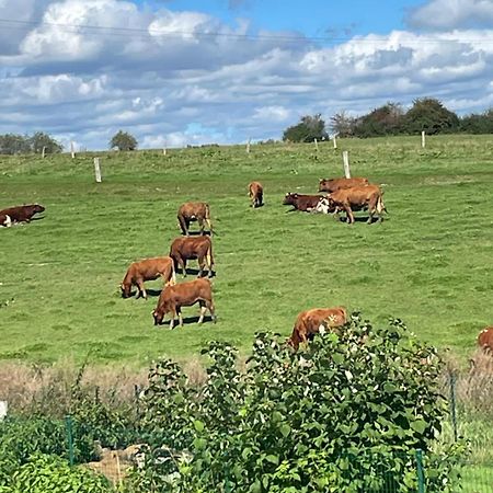 Le Gite Du Vieux Chene Bertogne Eksteriør bilde
